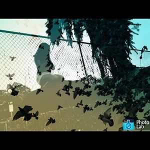 Meet your Posher, Ines