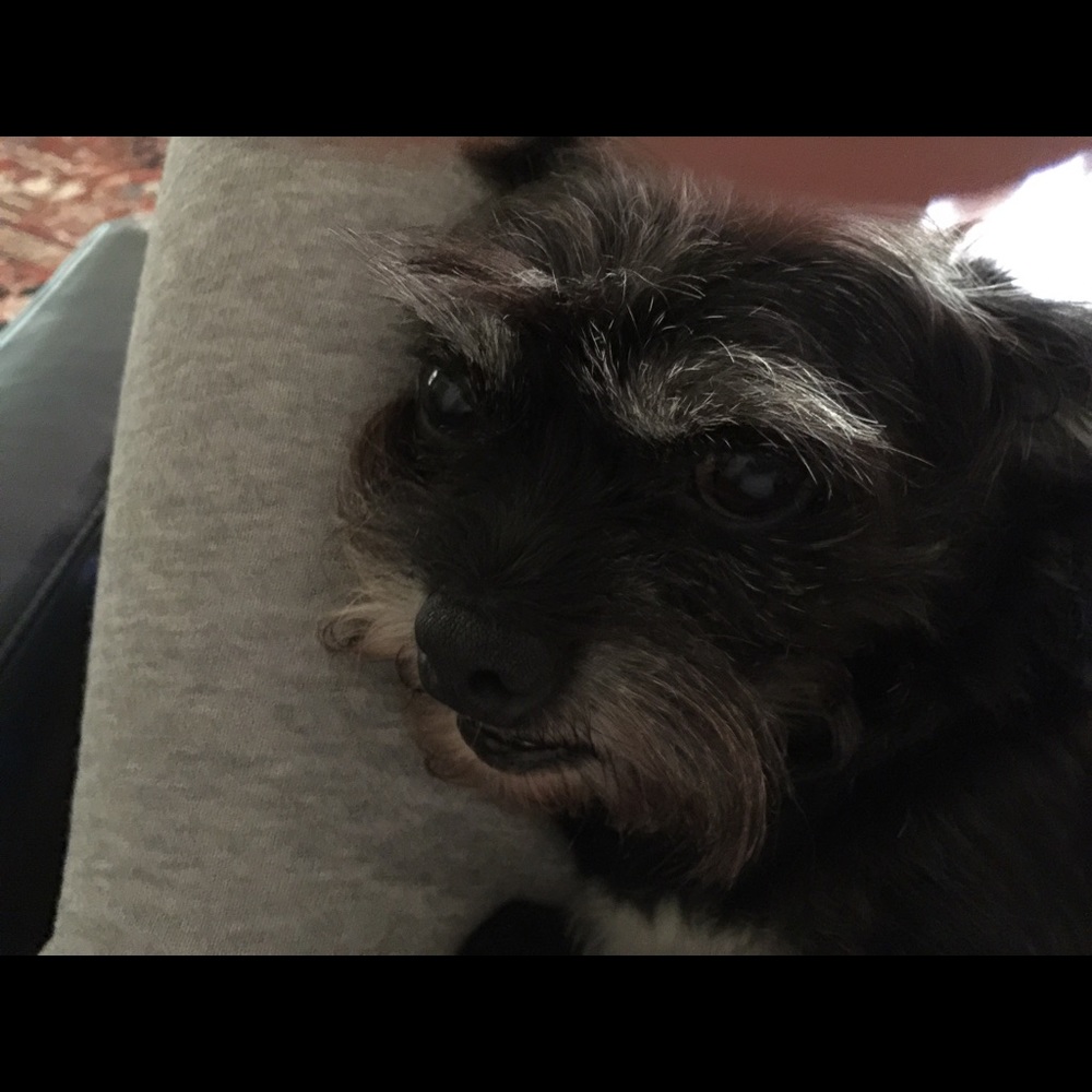 Meet your Posher, Melissa