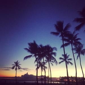 Meet your Posher, Malorie