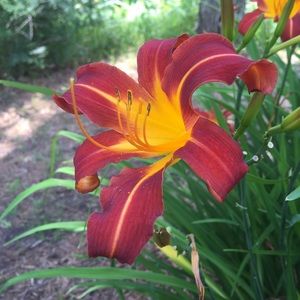 Meet your Posher, Kathryn