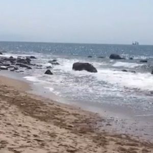 Meet your Posher, Sophia