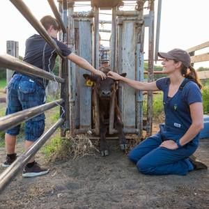 Meet your Posher, Carolyn