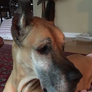Meet your Posher, Hope