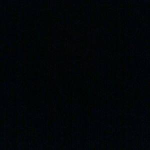 Meet your Posher, Tyreese