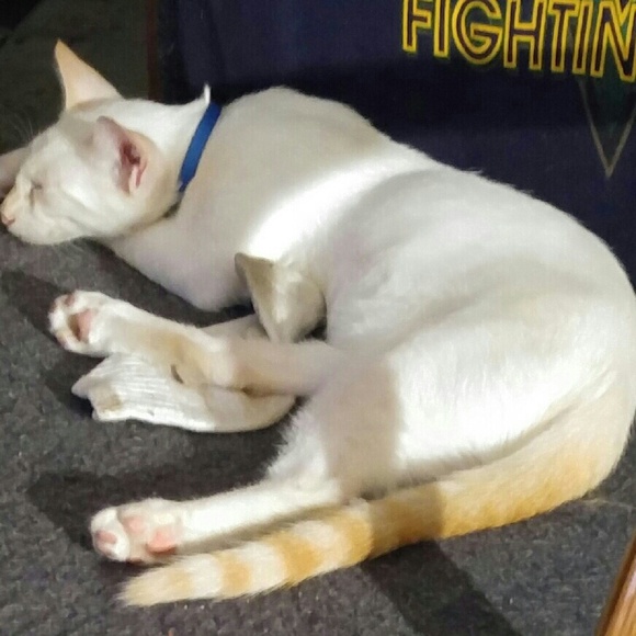 Meet your Posher, Wilberta