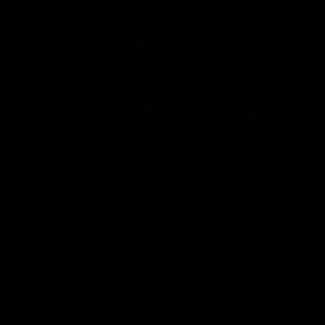 Meet your Posher, Asher