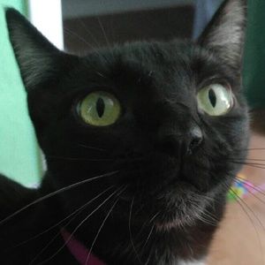 Meet your Posher, Erika