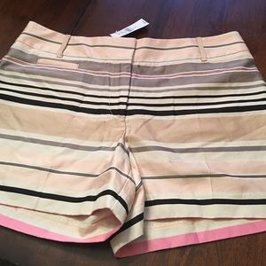 Loft shorts size 6