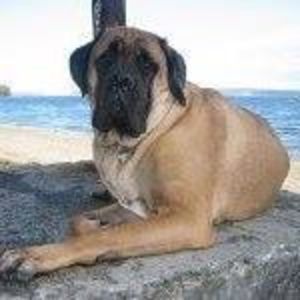 Meet your Posher, Willie