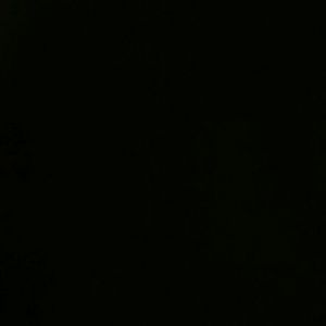 Meet your Posher, Joy