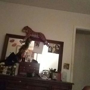 Meet your Posher, Tammy