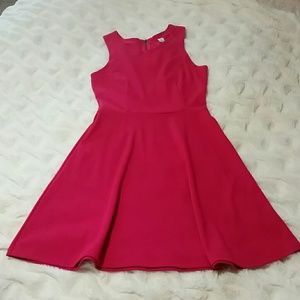 Magenta Zippered Back Dress