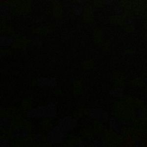 Meet your Posher, Cora