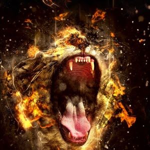 Meet your Posher, Kambri