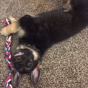 Meet your Posher, Kayla