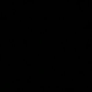 Meet your Posher, Latasha