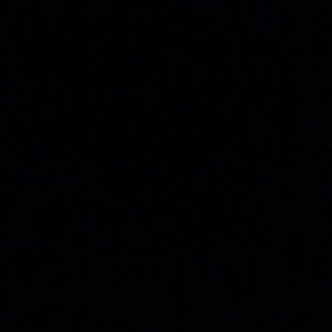 Meet your Posher, Nisha