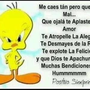 Meet your Posher, Olga