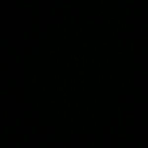 Meet your Posher, Claudia