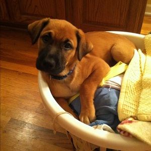 Meet your Posher, April