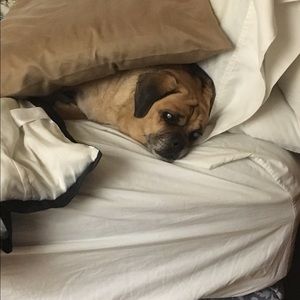 Meet your Posher, Deanna