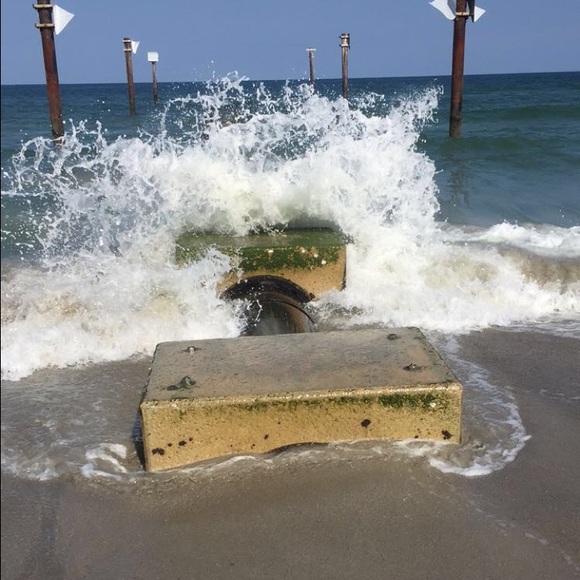 Meet your Posher, Lacey - Picture 1 of 1