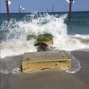 Meet your Posher, Lacey