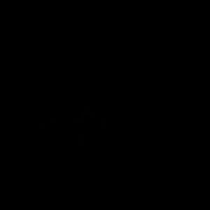 Meet your Posher, Elva