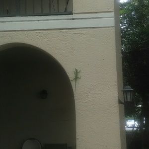 Meet your Posher, Lawrence