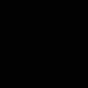 Meet your Posher, Patty