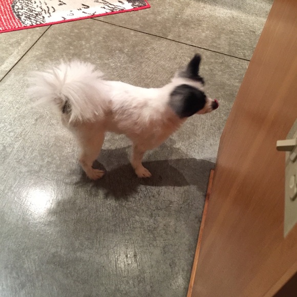 Meet your Posher, Catherine