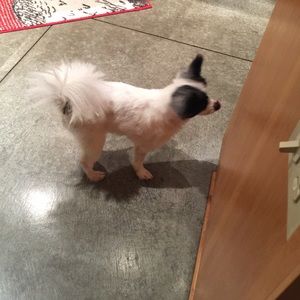 Meet your Posher, Catherine