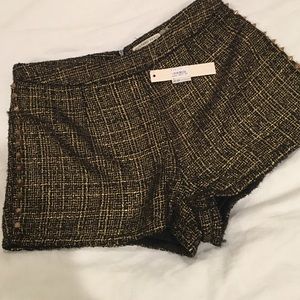 Studded shorts