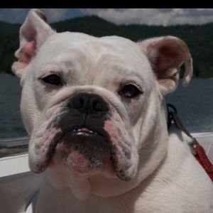 Meet your Posher, Allison