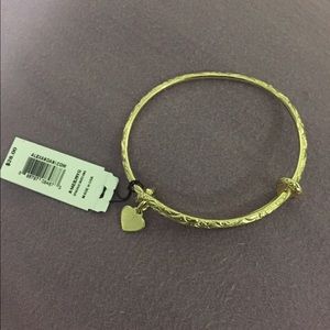 Alex and Ani Bangle