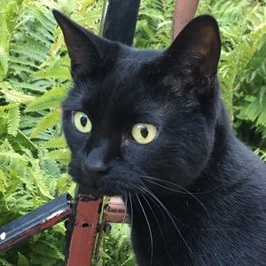 Meet your Posher, Jennie