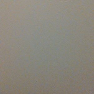 Meet your Posher, Kyra