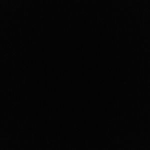 Meet your Posher, Ebony