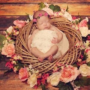 Meet your Posher, Ginger