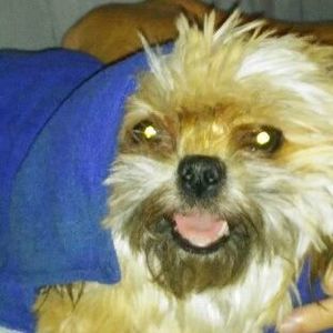 Meet your Posher, Debra