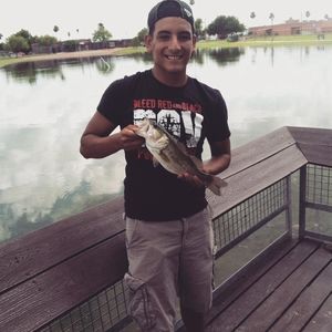 Meet your Posher, Nico