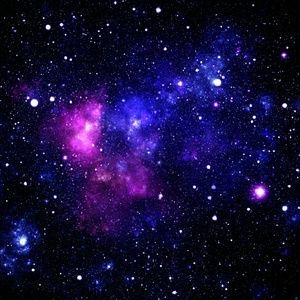 Meet your Posher, Breanna