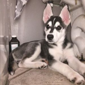 Meet your Posher, Rita