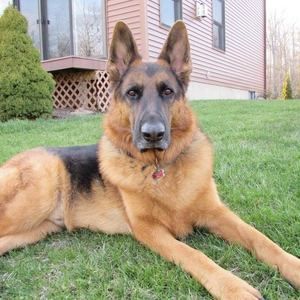 Meet your Posher, Lorelie