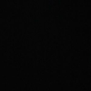 Meet your Posher, Dylan