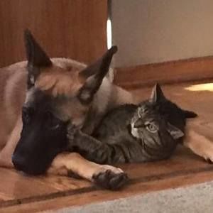 Meet your Posher, Cori