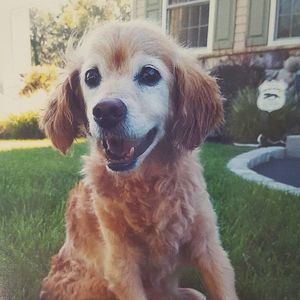 Meet your Posher, Susan