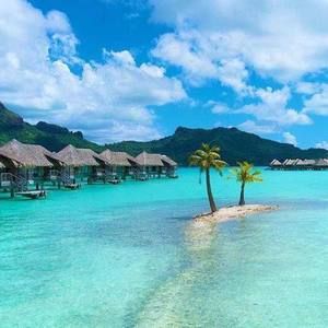 Meet your Posher, Paulo