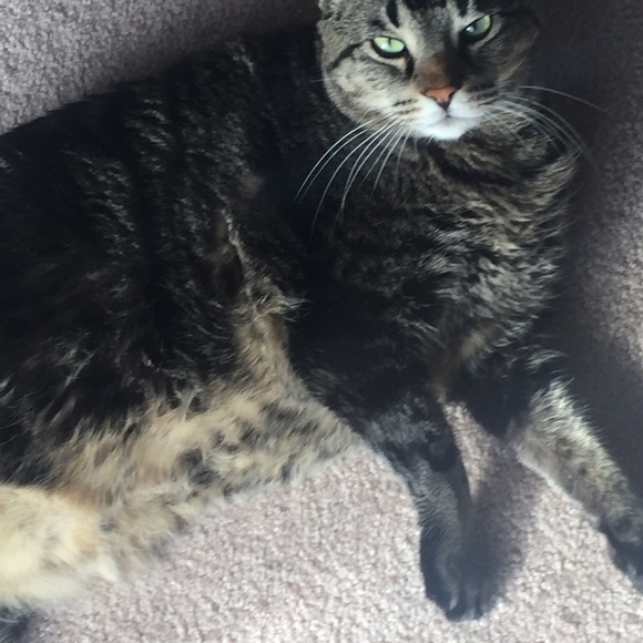 Meet your Posher, Jane - Picture 1 of 1