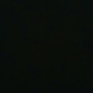 Meet your Posher, Lionel